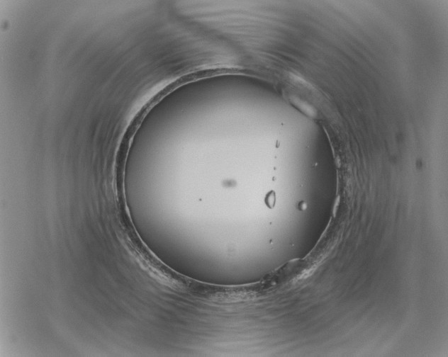 X0000078230884200611171431