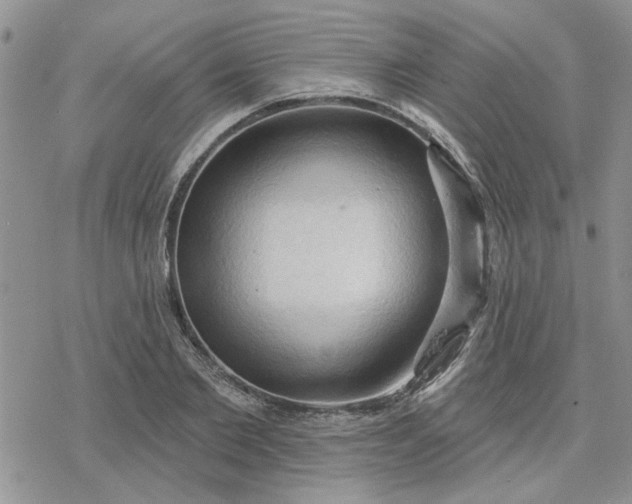 X0000078230885200611171431