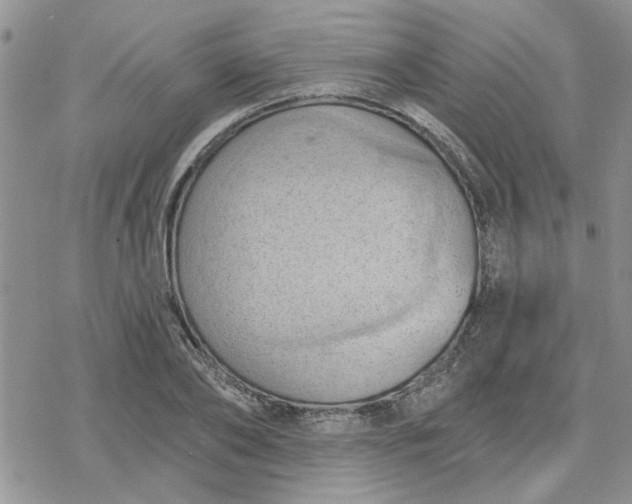 X0000078230886200611171431