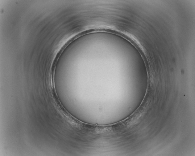 X0000078230887200611171431