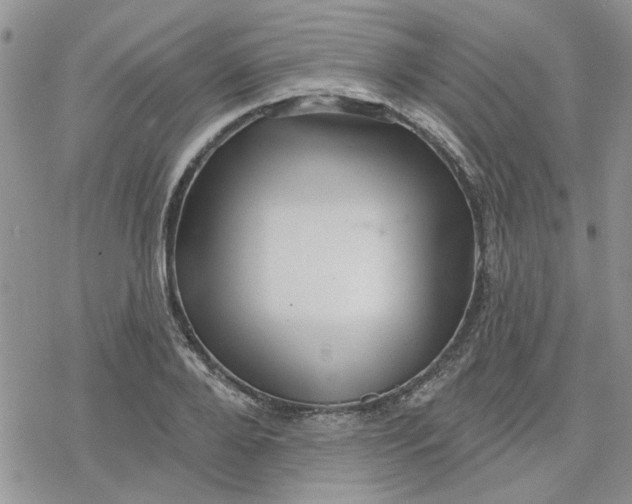 X0000078230888200611171431