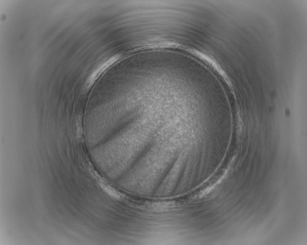 X0000078230889200611171431