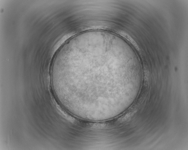 X0000078230890200611171431