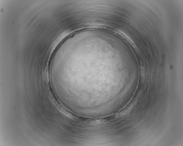 X0000078230891200611171431