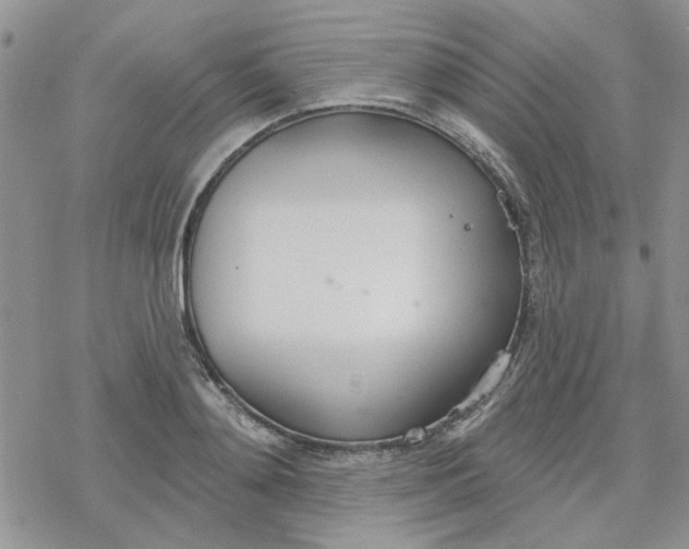 X0000078230892200611171431