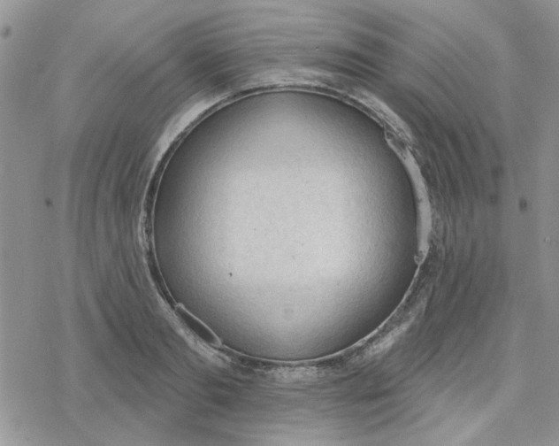 X0000078230893200611171431