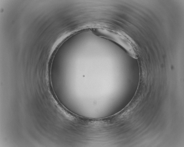 X0000078230894200611171431