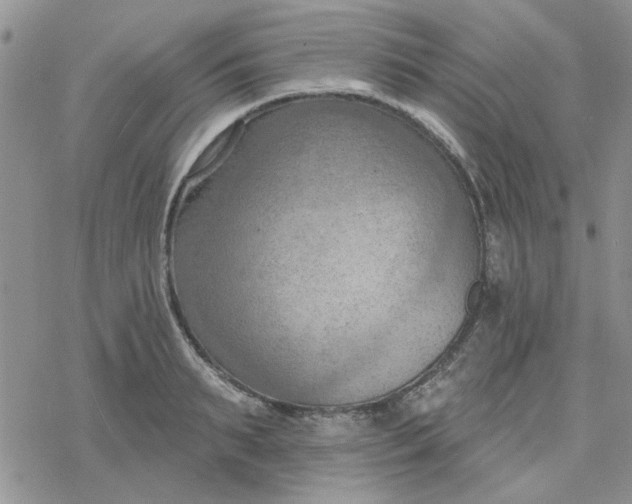 X0000078230895200611171431