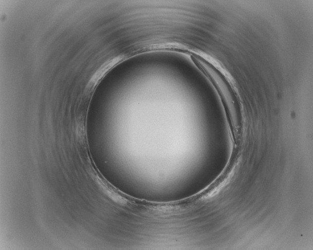 X0000078230897200611171431