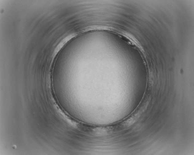 X0000078230898200611171431