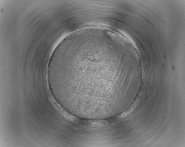 X0000078230899200611171431