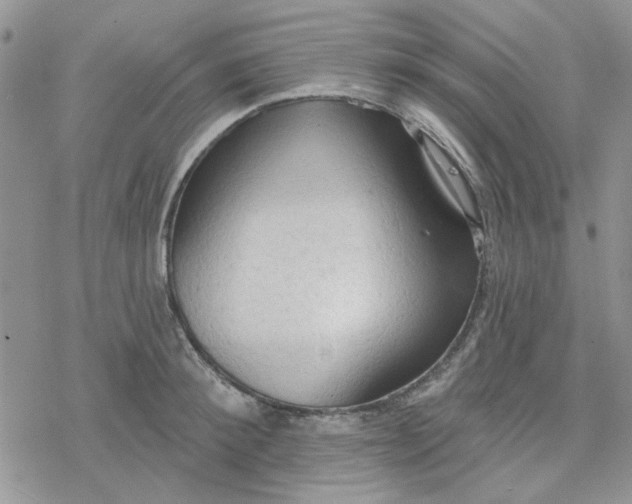 X0000078230900200611171431