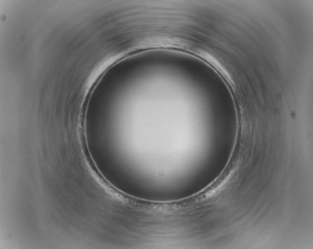 X0000078230901200611171430