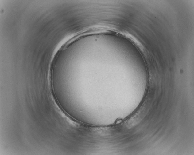 X0000078230902200611171430