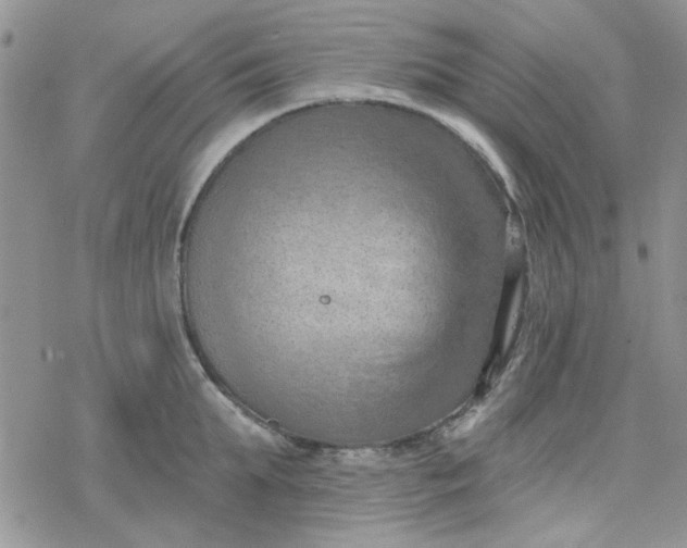 X0000078230903200611171430