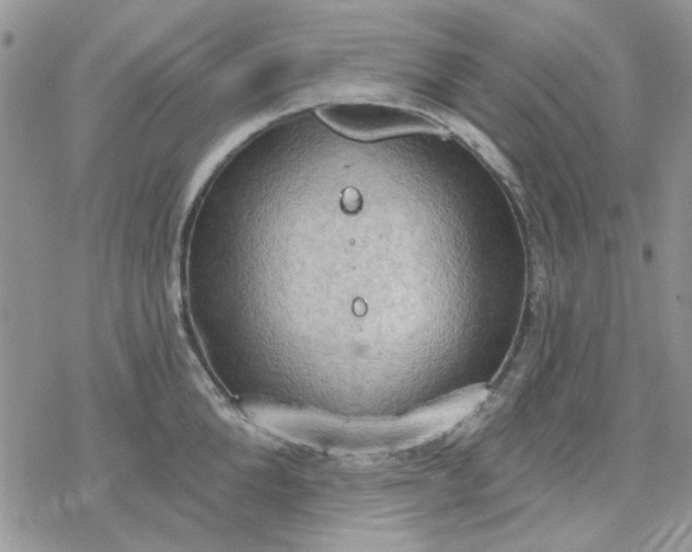 X0000078230904200611171430