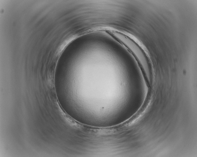 X0000078230905200611171430