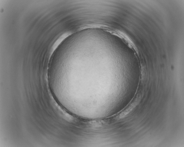 X0000078230906200611171430