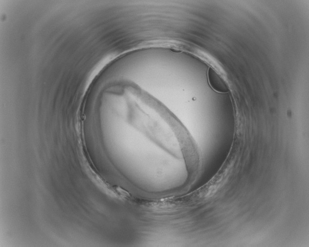 X0000078230907200611171430