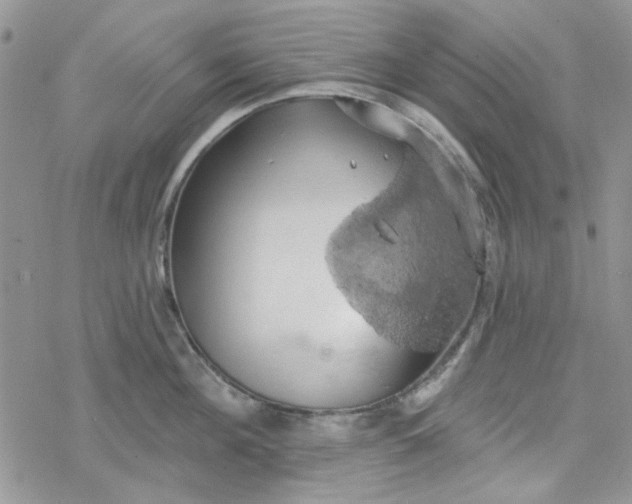 X0000078230908200611171430