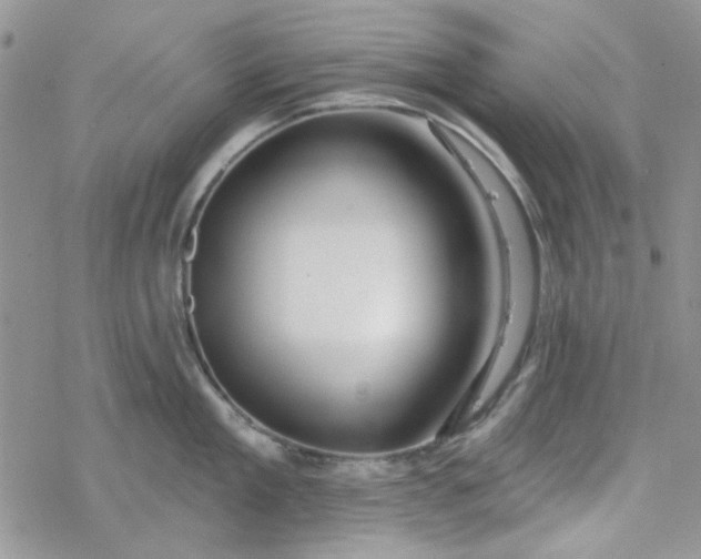 X0000078230909200611171430