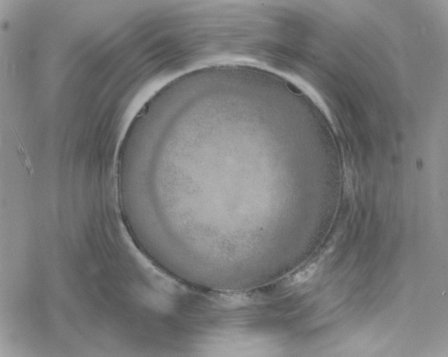 X0000078230911200611171430