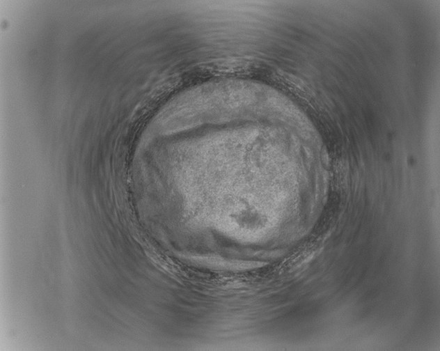 X0000078230913200611171430