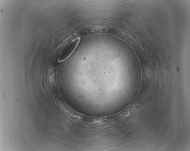 X0000078230914200611171430