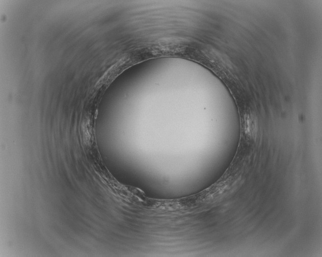 X0000078230915200611171430