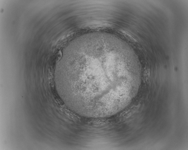 X0000078230917200611171430