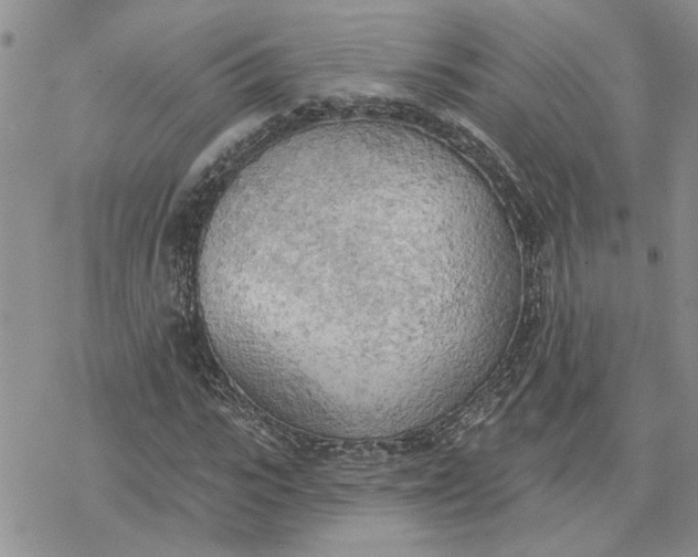 X0000078230919200611171430