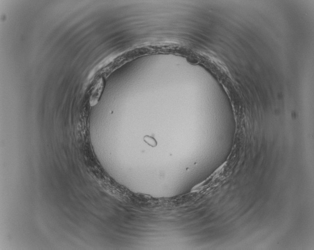 X0000078230920200611171430