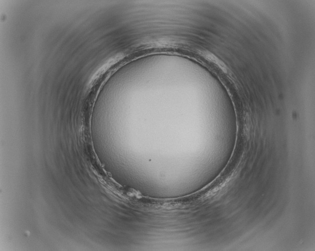 X0000078230922200611171430