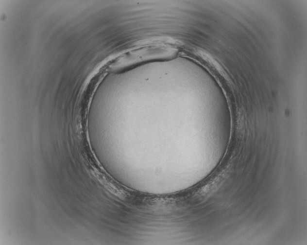 X0000078230923200611171430