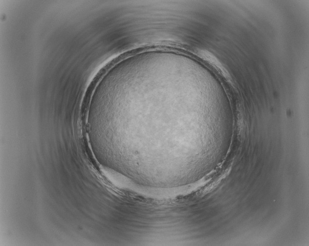 X0000078230924200611171430