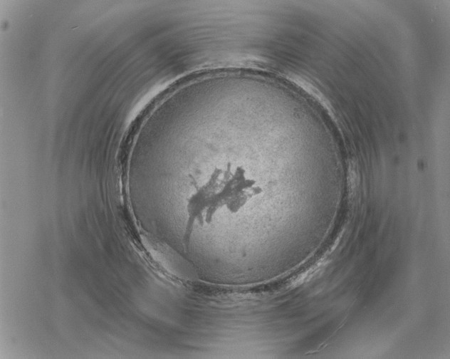 X0000078230925200611171430