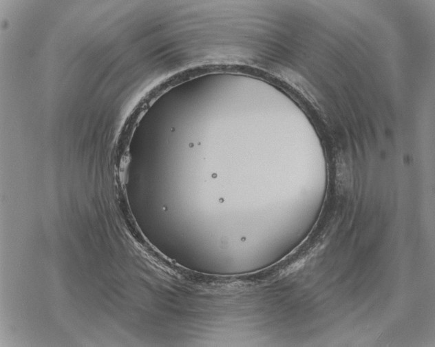 X0000078230926200611171430