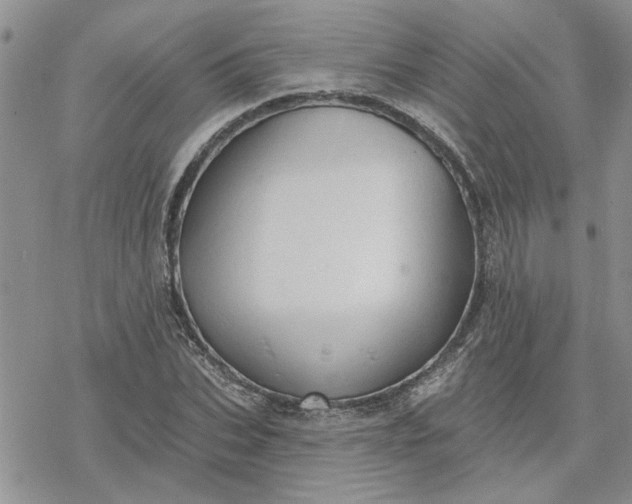 X0000078230927200611171430