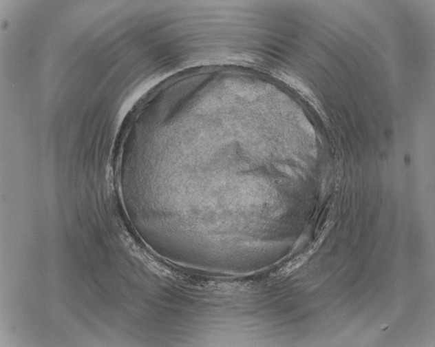 X0000078230928200611171430