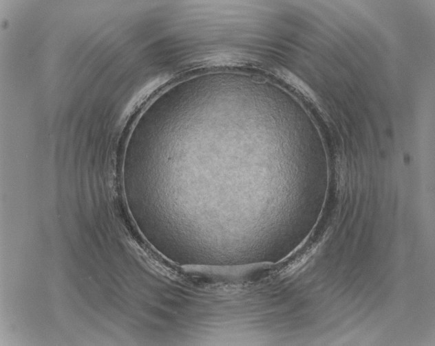 X0000078230930200611171430