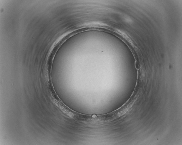 X0000078230931200611171430