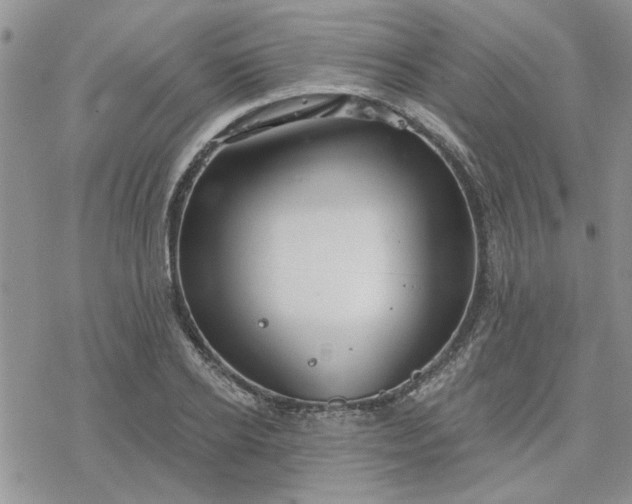 X0000078230934200611171430