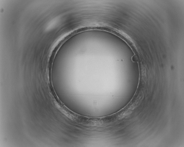 X0000078230935200611171430