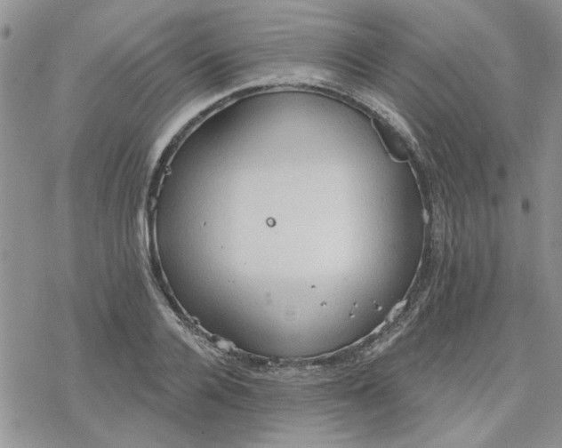 X0000078230936200611171430