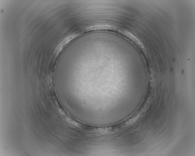 X0000078230937200611171430