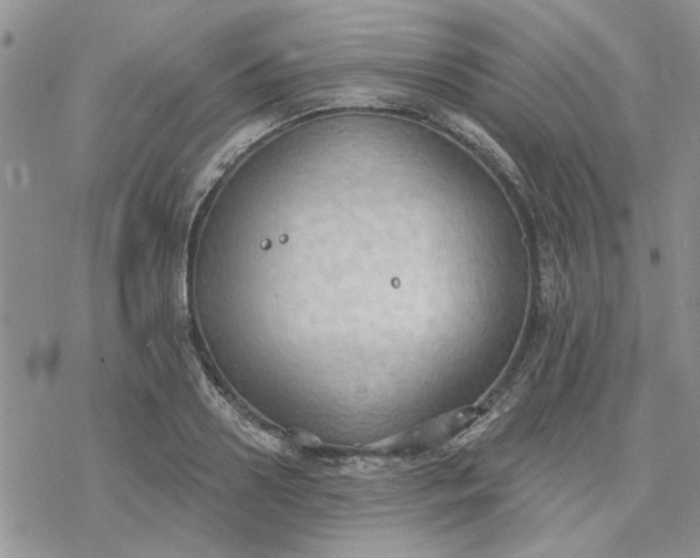 X0000078230938200611171430