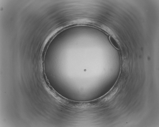 X0000078230939200611171430