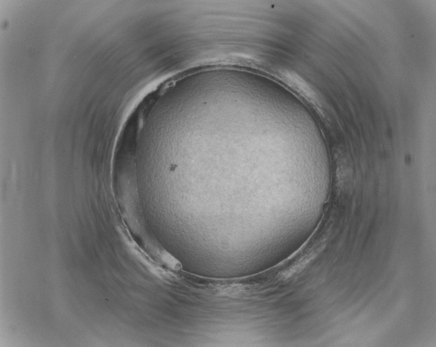 X0000078230940200611171430