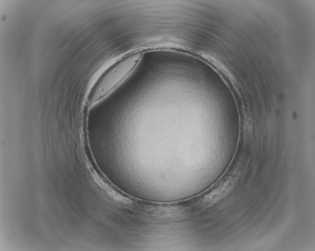 X0000078230941200611171430