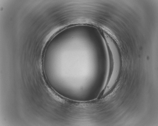 X0000078230942200611171430